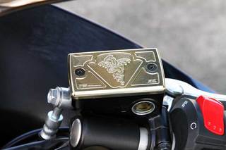 hayabusa_wyvern_gold_small.jpg