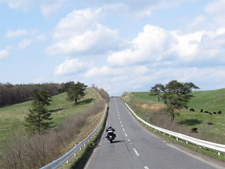 kC005.jpg